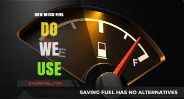 The World's Fuel Consumption: A Comprehensive Overview