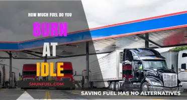Idle Fuel Consumption: How Much Do You Burn?