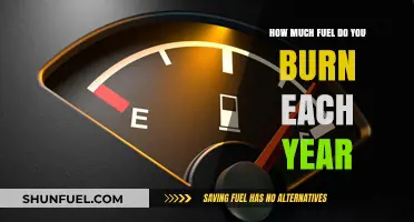 Fuel Consumption: Burning a Year's Worth of Gas