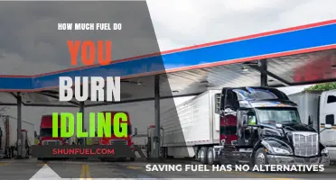 Idling Cars: Burning Fuel, Burning Money