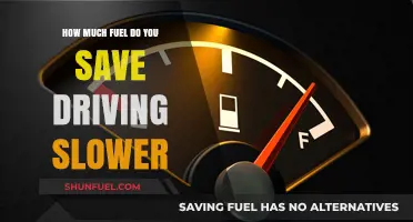 Slowing Down: Saving Fuel and Money