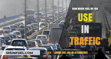 Traffic Jams: Burning Fuel, Wasting Time