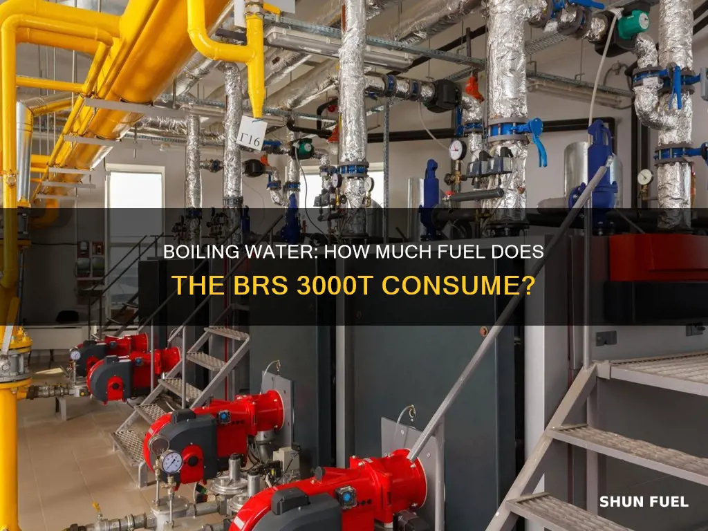how much fuel doe brs 3000t use boil