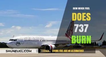 Understanding the Fuel Efficiency of Boeing 737s
