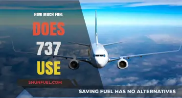 Fuel Consumption of the Boeing 737: A Comprehensive Analysis