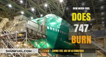 Understanding the Fuel Consumption of Jumbo Jets