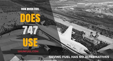 Fuel Consumption of a 747: Understanding the Jumbo Jet's Usage