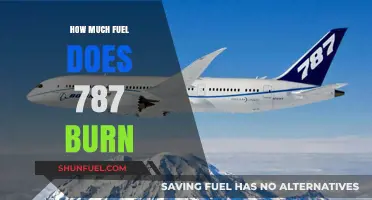 Understanding the Fuel Efficiency of the 787 Dreamliner