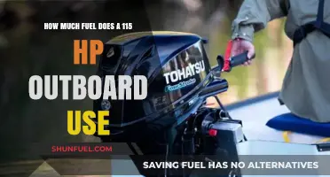 Outboard Fuel Efficiency: 115 HP Engine Consumption