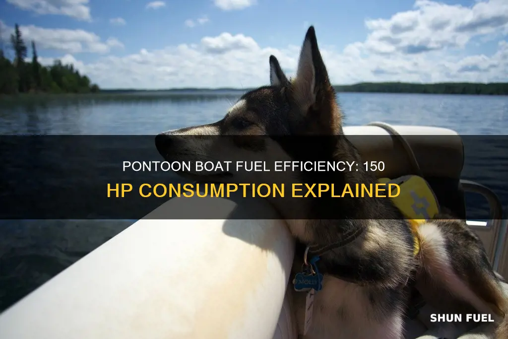 how much fuel does a 150 hp pontoon boat consume
