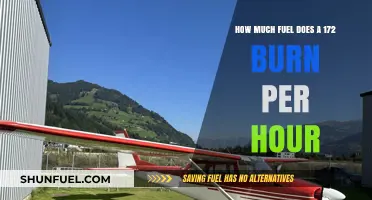 Burning Questions: Fuel Consumption of a Cessna 172