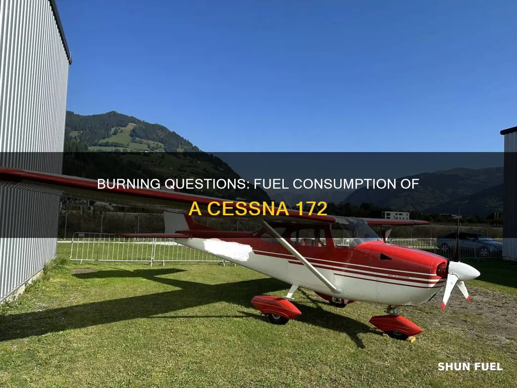 how much fuel does a 172 burn per hour