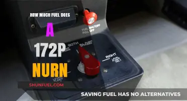 Understanding the Fuel Efficiency of a 172P Aircraft