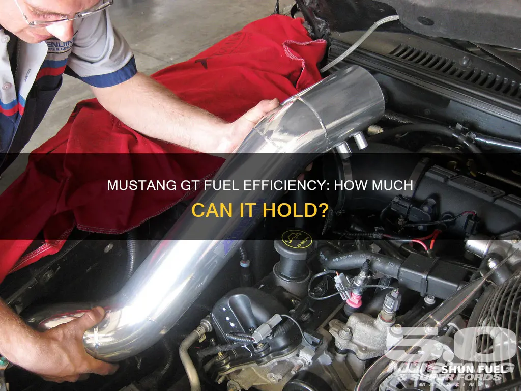 how much fuel does a 2002 mustang gt have
