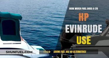 Evinrude 25 HP: Fuel Consumption and Efficiency