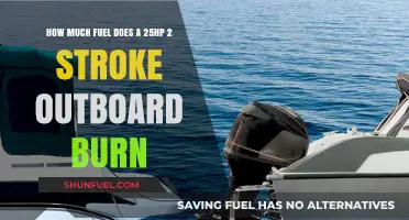 Outboard Fuel Efficiency: 25HP 2-Stroke Consumption