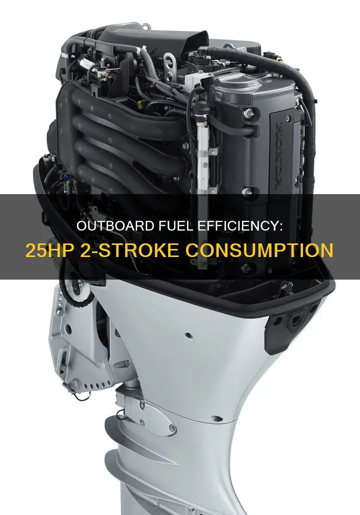 how much fuel does a 25hp 2 stroke outboard burn