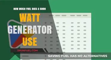 Fuel Consumption of 5000-Watt Generators: How Much?