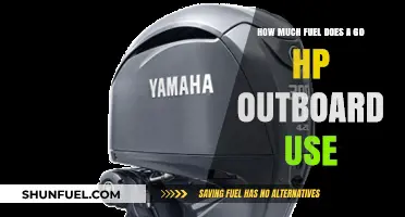 Outboard Fuel Efficiency: 60 HP Consumption Explained