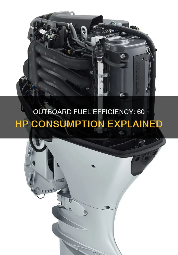 how much fuel does a 60 hp outboard use