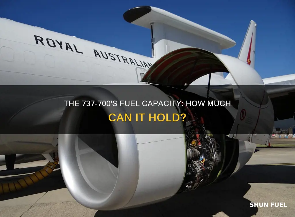 how much fuel does a 737 700 hold