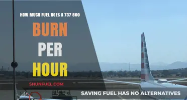 Fuel Efficiency of 737-800: Burning Less, Flying More