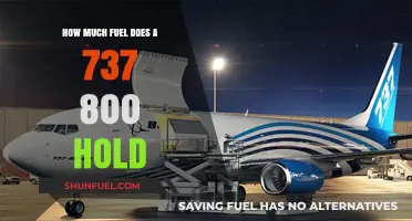 Fuel Efficiency: 737-800's Impressive Range