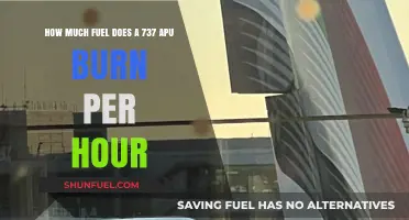 APU Fuel Consumption: Burning Hourly in a 737