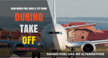 Fuel Consumption: 737 Takeoff Burn