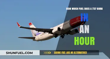 Fuel Efficiency of Boeing 737: Hourly Burn Rate