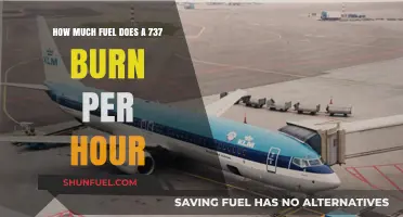 Understanding the Fuel Efficiency of Boeing 737s