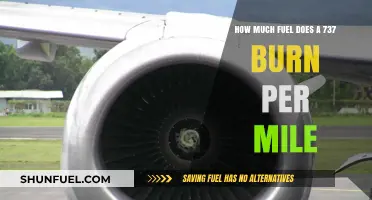 Fuel Efficiency of Boeing 737: Miles Per Gallon