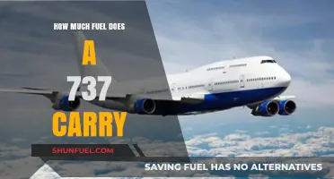 The 737's Fuel Capacity: How Much Does It Hold?