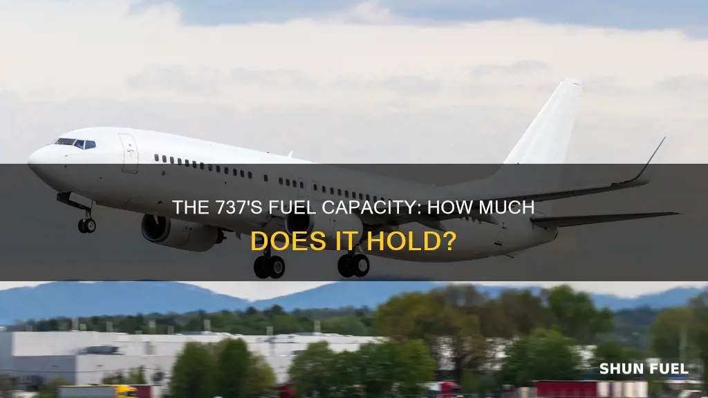 how much fuel does a 737 carry