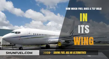 Fuel Capacity of a 737: Wing Storage Secrets