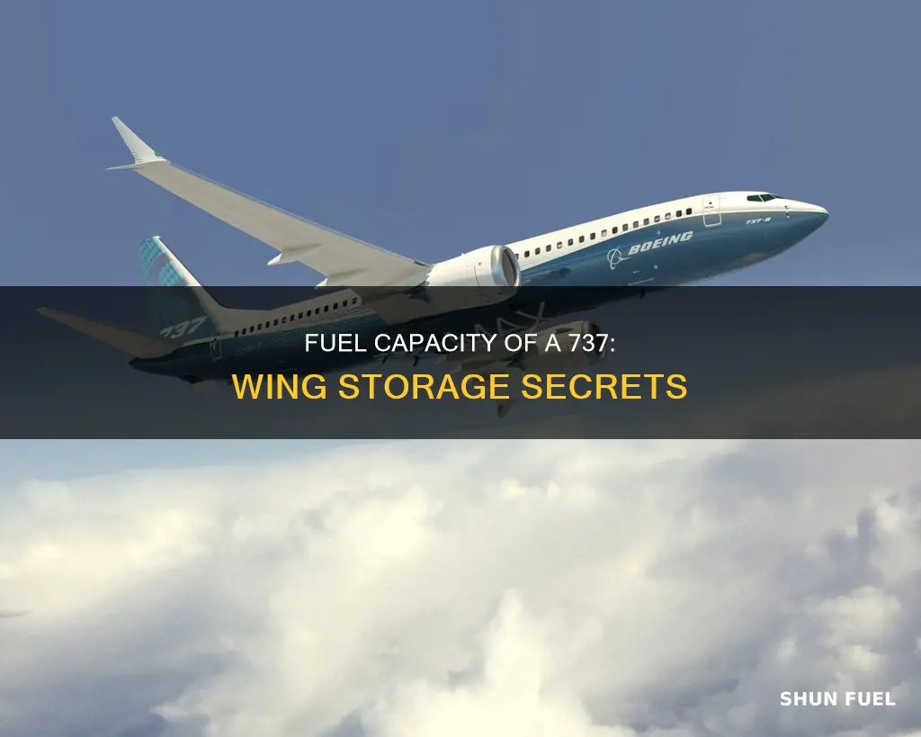 how much fuel does a 737 hold in its wing