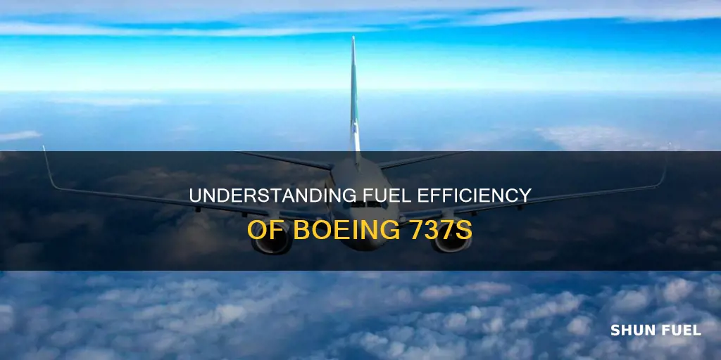 how much fuel does a 737 plane use
