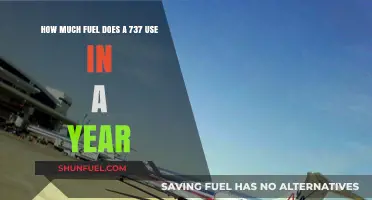 Fuel Consumption of a 737: Annual Overview