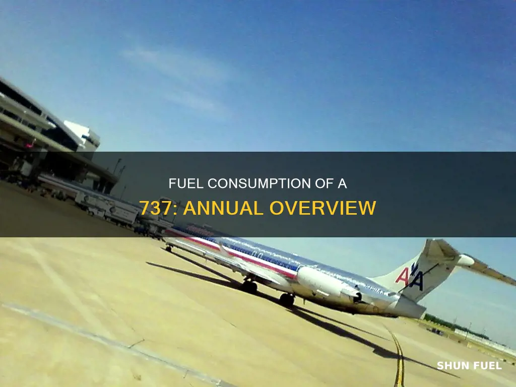 how much fuel does a 737 use in a year