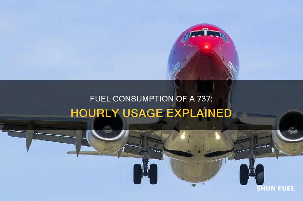 how much fuel does a 737 use per hour