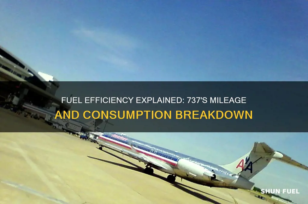 how much fuel does a 737 use per mile