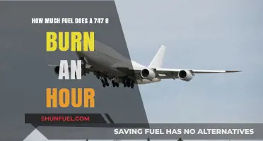 Fuel Consumption of a Jumbo Jet: 747-8 Burn Rates