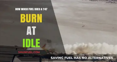 Fuel Consumption of a 747 at Idle: How Much?
