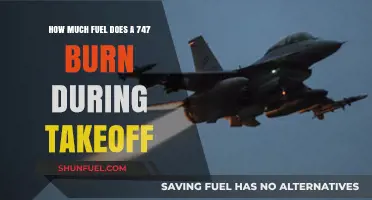 Takeoff Fuel Consumption of a Jumbo Jet
