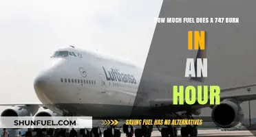 Fuel Consumption of a Jumbo Jet: 747's Hourly Burn Rate
