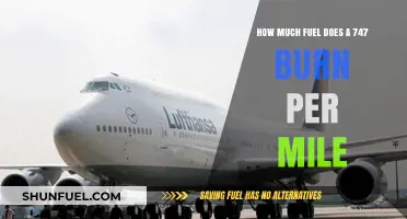 Fuel Consumption of a Jumbo Jet: Miles Per Gallon