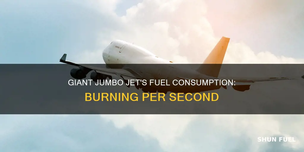 how much fuel does a 747 burn per second