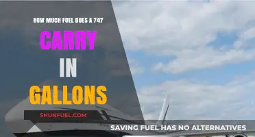 Fuel Consumption of a Jumbo Jet: 747's Gallons