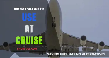 Cruising Fuel Efficiency of the Jumbo Jet 747
