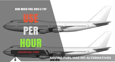 Understanding the Fuel Consumption of Jumbo Jets